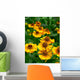 Helenium-Hybride Wall Decal