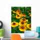 Helenium-Hybride Wall Decal