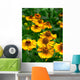 Helenium-Hybride Wall Decal