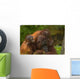 Mother Orangutan With Her Children Wall Decal
