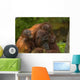 Mother Orangutan With Her Children Wall Decal