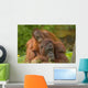 Resting Mother Orangutan With Her Child Wall Decal