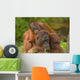 Resting Mother Orangutan With Her Child Wall Decal