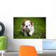 English Bulldog Puppy Outdoors Wall Decal