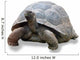 Galapagos Turtle Wall Decal
