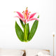 Lily Flower Wall Decal