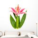 Lily Flower Wall Decal