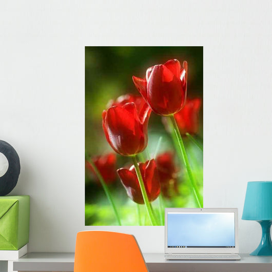 Red Tulips Wall Decal