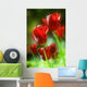 Red Tulips Wall Decal