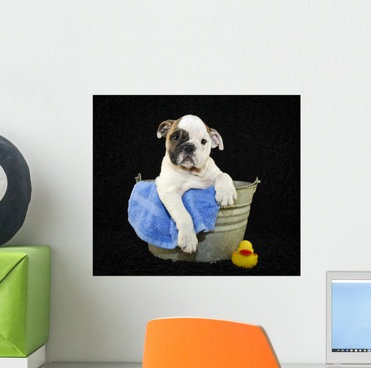 Bath Time Wall Decal