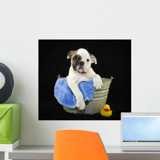 Bath Time Wall Decal