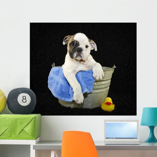 Bath Time Wall Decal