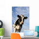 Curious Cow Wall Decal