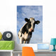 Curious Cow Wall Decal