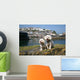 Bichon Frise Mevagissy Harbour Wall Decal