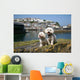 Bichon Frise Mevagissy Harbour Wall Decal