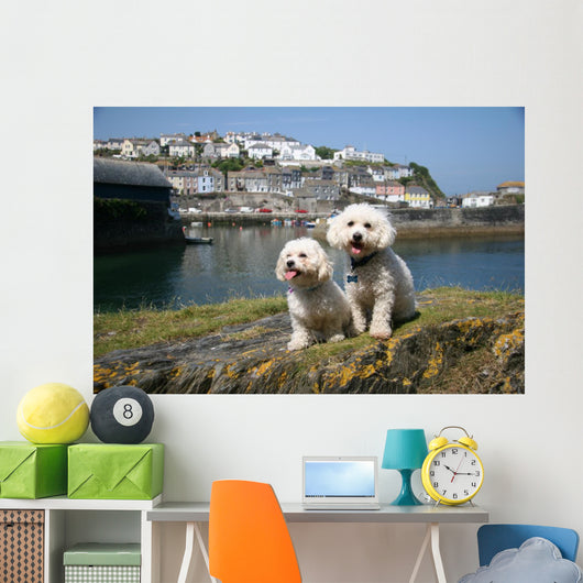 Bichon Frise Mevagissy Harbour Wall Decal