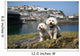 Bichon Frise Mevagissy Harbour Wall Decal