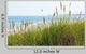 Sea Beach and Grass Wall Decal