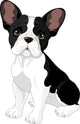 French Bulldog Wall Decal