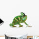 Chameleon Wall Decal