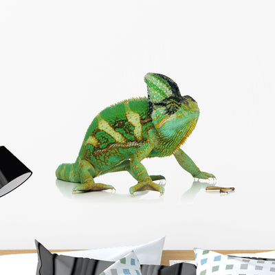 Chameleon Wall Decal shown on a wall