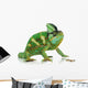 Chameleon Wall Decal