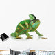 Chameleon Wall Decal