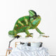 Chameleon Wall Decal