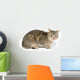 Cute Tabby White Wall Decal