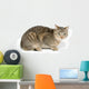 Cute Tabby White Wall Decal