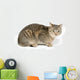Cute Tabby White Wall Decal