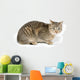 Cute Tabby White Wall Decal