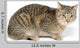 Cute Tabby White Wall Decal