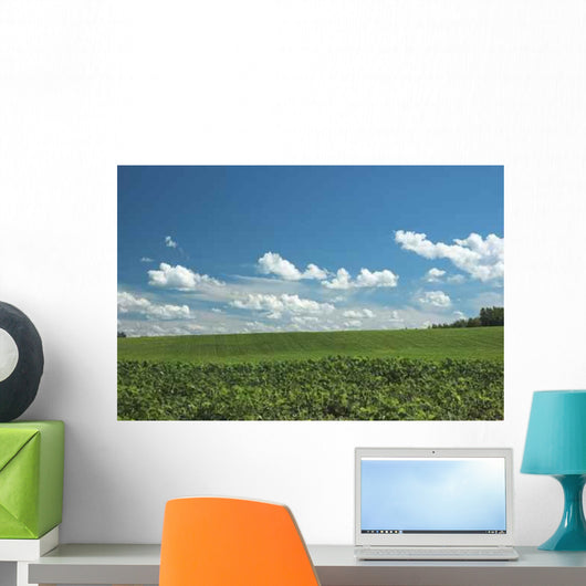 Green Farm Field Wall Decal