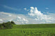 Hilly Farm Field Wall Decal
