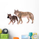 Wolf Dog Puppy Wolves Wall Decal