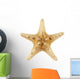 Sea Star Wall Decal