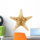 Sea Star Wall Decal