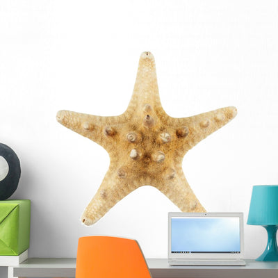 Sea Star Wall Decal shown on a wall