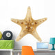 Sea Star Wall Decal