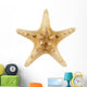 Sea Star Wall Decal