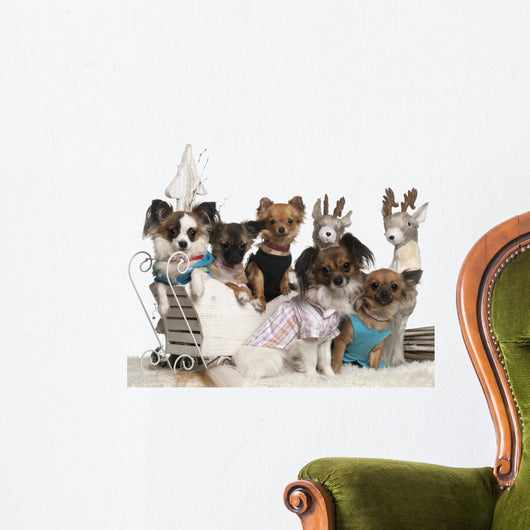 Chihuahuas Christmas Sleigh Wall Decal