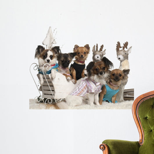 Chihuahuas Christmas Sleigh Wall Decal