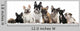 Group of Eight French Bulldogs Wall Decal