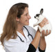 Vet Looking Dalmatian Rabbit Wall Decal