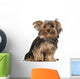 Yorkshire Terrier 8 Months Wall Decal