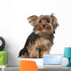 Yorkshire Terrier 8 Months Wall Decal