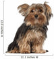 Yorkshire Terrier 8 Months Wall Decal
