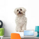 Maltese 6 Years Old Wall Decal
